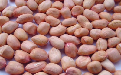 Dị ứng đậu phộng có liên quan đến đột biến gene