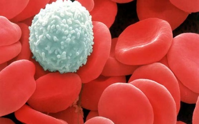 Ung thư gia tăng do thiếu hiểu biết?