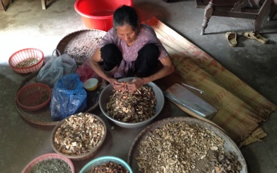 Kỳ lạ với cách chữa đau mắt ở…tay