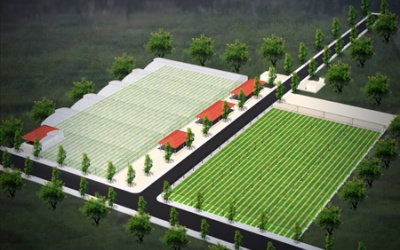 “Động thổ” dự án thực phẩm sạch Love Garden