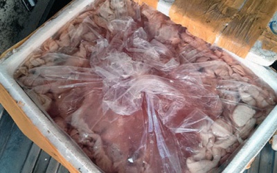 Phát hiện 200kg nội tạng heo, bò bẩn