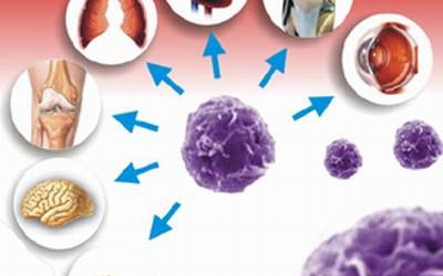 Sức sống mới từ tế bào gốc