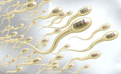 Thực phẩm tăng chất lượng và số lượng tinh trùng