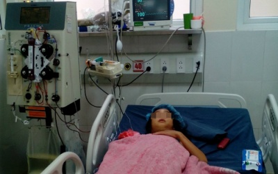 7 ngày lọc máu cứu em bé bị ong đốt hơn trăm mũi