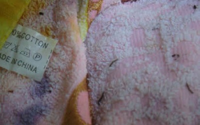 Khăn mặt chứa nhiều vi khuẩn hơn cả bệ bồn cầu