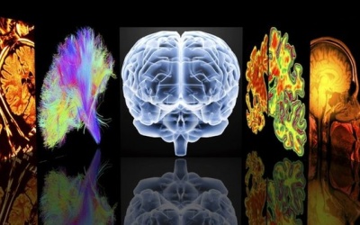 Vitamin B12 và acid folic có làm giảm nguy cơ mất trí nhớ?