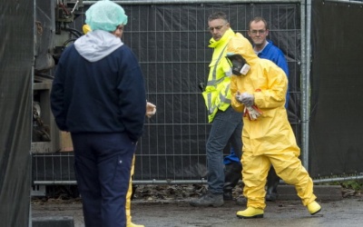 Cảnh báo dịch cúm gia cầm lan rộng