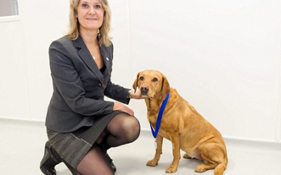 Chú chó có biệt tài ngửi mùi ung thư