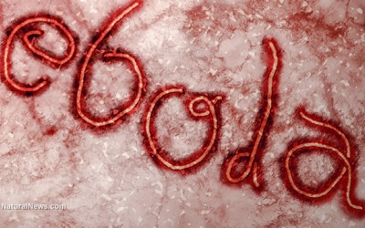Số người tử vong do Ebola đã lên tới 5.420 người