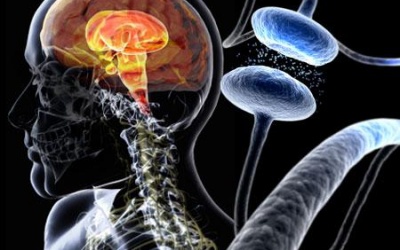 Parkinson - Nỗi lo của người cao tuổi