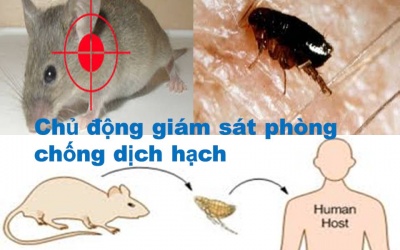 Bệnh dịch hạch có nguy cơ lan rộng