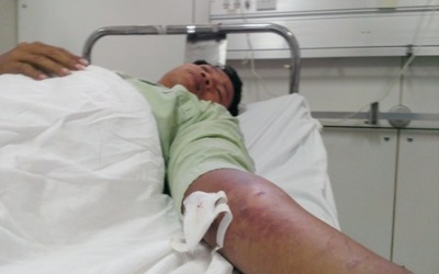 Rắn lục đuôi đỏ xuất hiện ở Huế