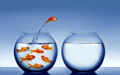 Thay thói quen – Đổi vận mệnh