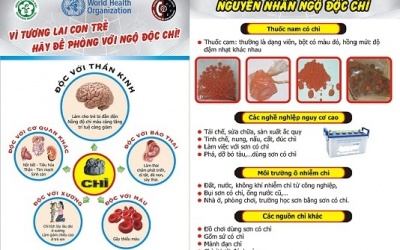Phòng nhiễm độc chì: Biết thêm không thừa