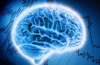 Infographic: Bộ não - Bí ẩn trung tâm điều khiển của con người