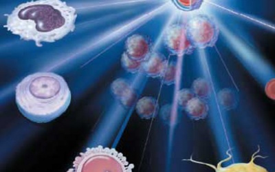 Chữa bệnh tiêu hóa bằng phương pháp “thay mới”