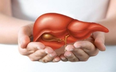 Phòng ngừa ung thư gan bằng chế độ ăn uống