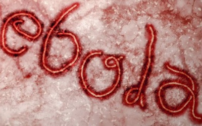  Cuộc sống khốn khổ của những người chiến thắng Ebola