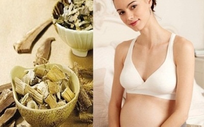 Bà bầu có nên uống thuốc Bắc để dưỡng thai?