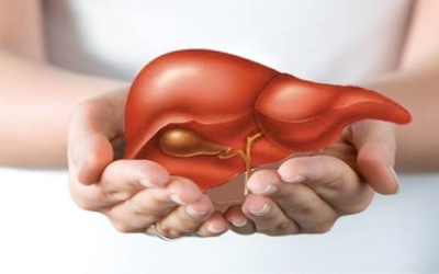 Photo: Viêm gan A và một số điều cần lưu ý