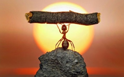 Mất cái gì là đáng sợ nhất?