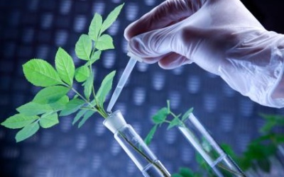 Công nghệ: Chìa khóa tạo nên giá trị TPCN