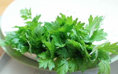 Ngải cứu 'trị' bách bệnh