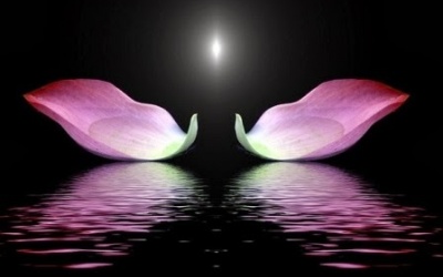 Luật nhân quả khi nào linh ứng? 