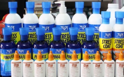 Thuốc mê chợ ảo náo loạn đời thực