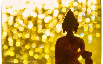  “Vén mây tìm trăng” nơi thế tục