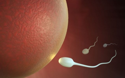 Tinh binh 'vượng' nhất vào mùa Đông