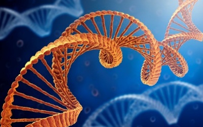 9 điều nên biết về ghép tạng