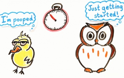 Video: Thức khuya - Dậy sớm: Ai thành công hơn?