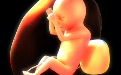 Thai chết lưu: Những điều mẹ chưa biết