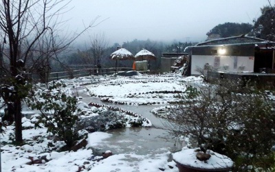 Cận cảnh tuyết rơi trắng xóa Sapa