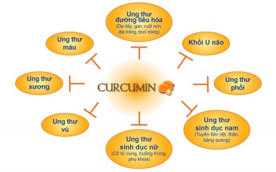Nano Curcumin: Tăng cường hiệu quả phòng ngừa ung thư