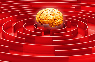 Trò chơi trí tuệ không giúp cải thiện trí óc!