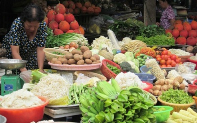 Bộ trưởng Cao Đức Phát: 'Dân trồng rau sạch ăn, rau nhiễm thuốc để bán'