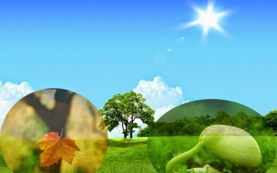 Nhân quả từ lối sống mà ra