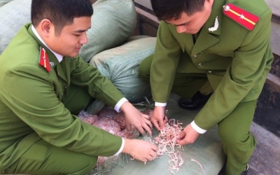 Mực khô 'khả nghi' lại xuất hiện