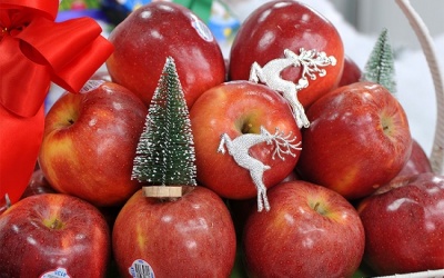 Cảnh báo sảy thai, dị tật vì táo Mỹ!