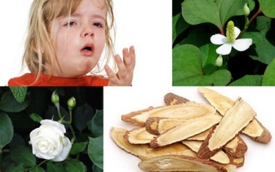 Trị ho hiệu quả bằng bài thuốc dân gian