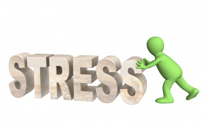 Stress ư? Chuyện nhỏ!