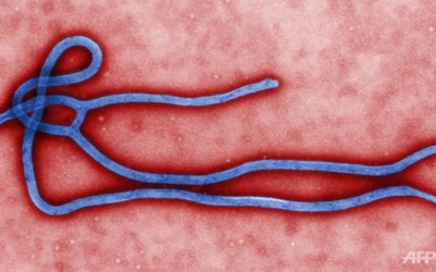 Dịch Ebola lui dần, nhưng vẫn cần cảnh giác