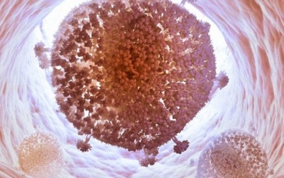 Lần đầu tiên “xóa sổ” virus HIV trong ADN của người