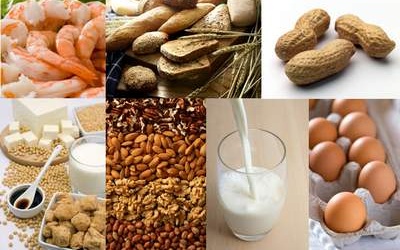 Photo: Nguồn gốc dị ứng ngay trong nhà (P2)