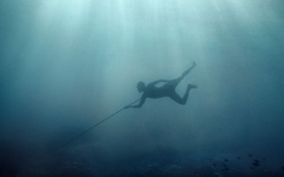 Sức mạnh của 'đột biến gene' (P2)