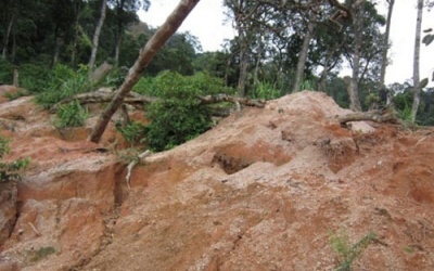 Điểm tin 10/2: Sập hầm khai thác đá quý, 3 người tử vong