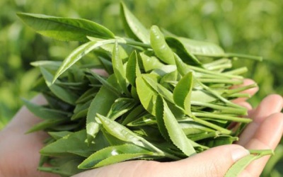 Vật dụng sơ cứu có sẵn trong bếp