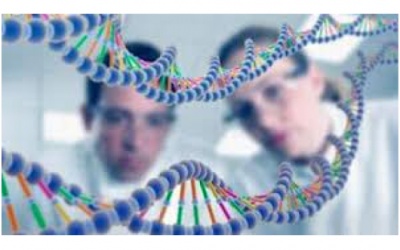 Điều kỳ diệu y khoa 2015?